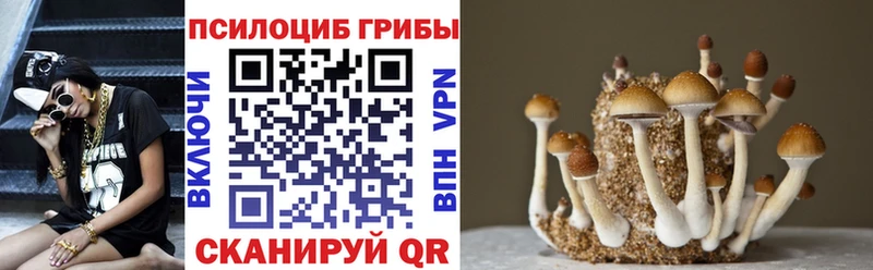Псилоцибиновые грибы ЛСД  Оса 